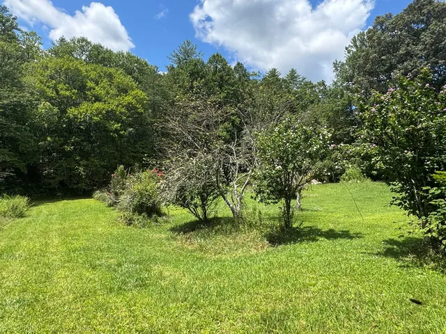 a front view of a house with a yard and trees