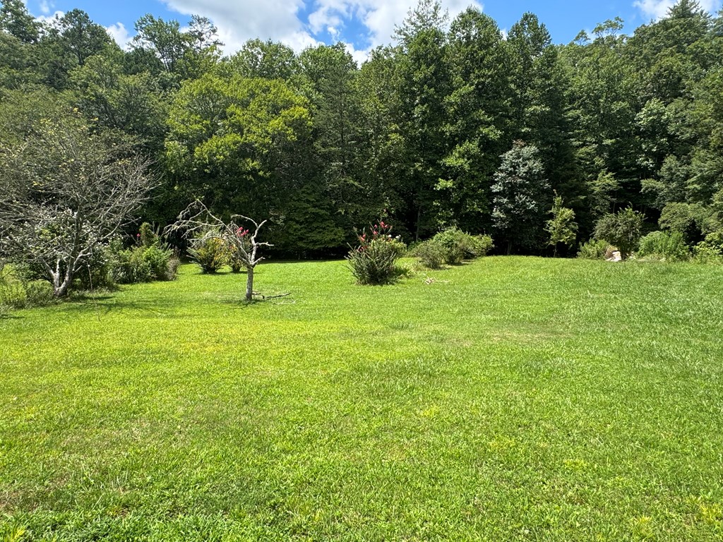 24 Doe Run Suches, GA 30572 - Photo 45 of 46 a view of green field with trees in the background
