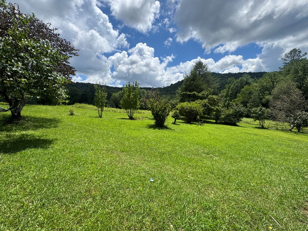 24 Doe Run Suches, GA 30572 - Photo 6 of 46 a view of a park