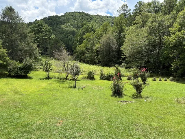 a view of an outdoor space