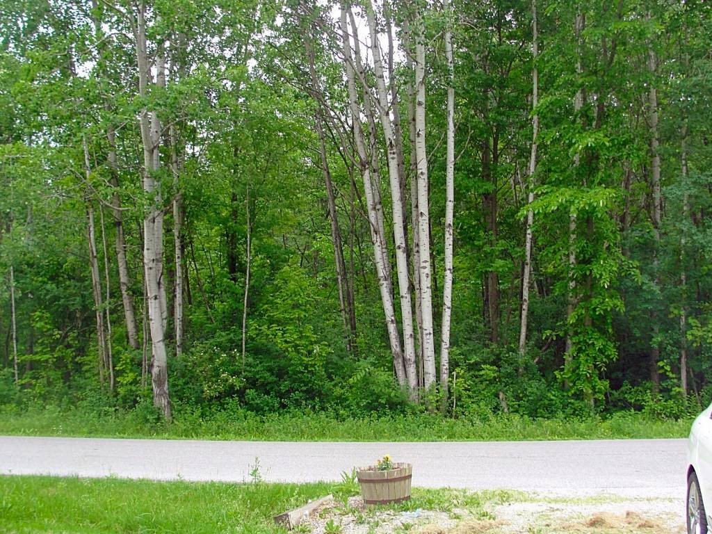 22 Little County Road St. Albans Town, VT 05478 - Photo 3 of 11