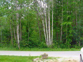 22 Little County Road St. Albans Town, VT 05478 - Photo 4 of 11