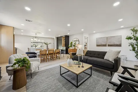 a living room with furniture and a potted plant