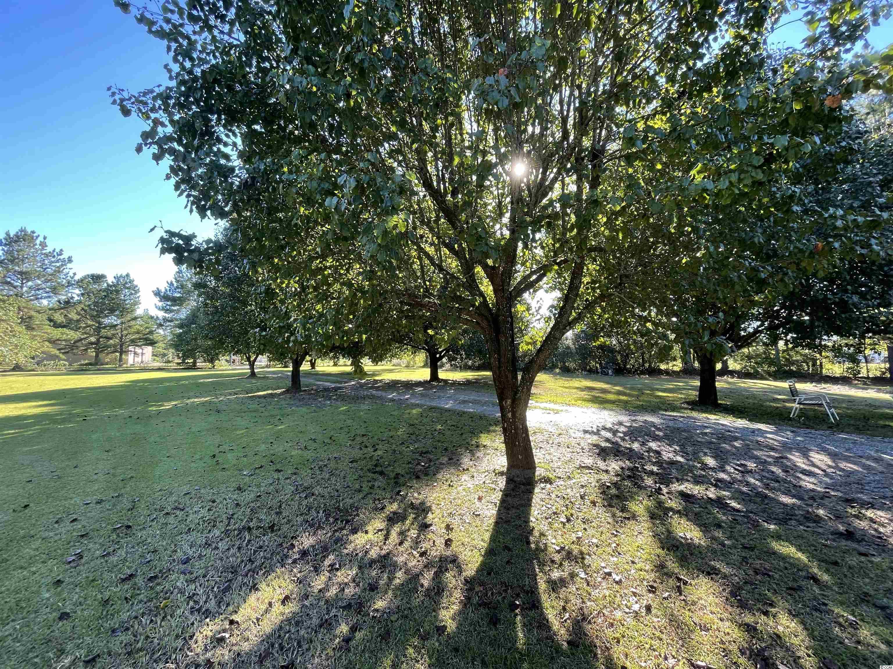 2285 Emery Road Loris, SC 29569 - Photo 6 of 21 Gallery Image 6
