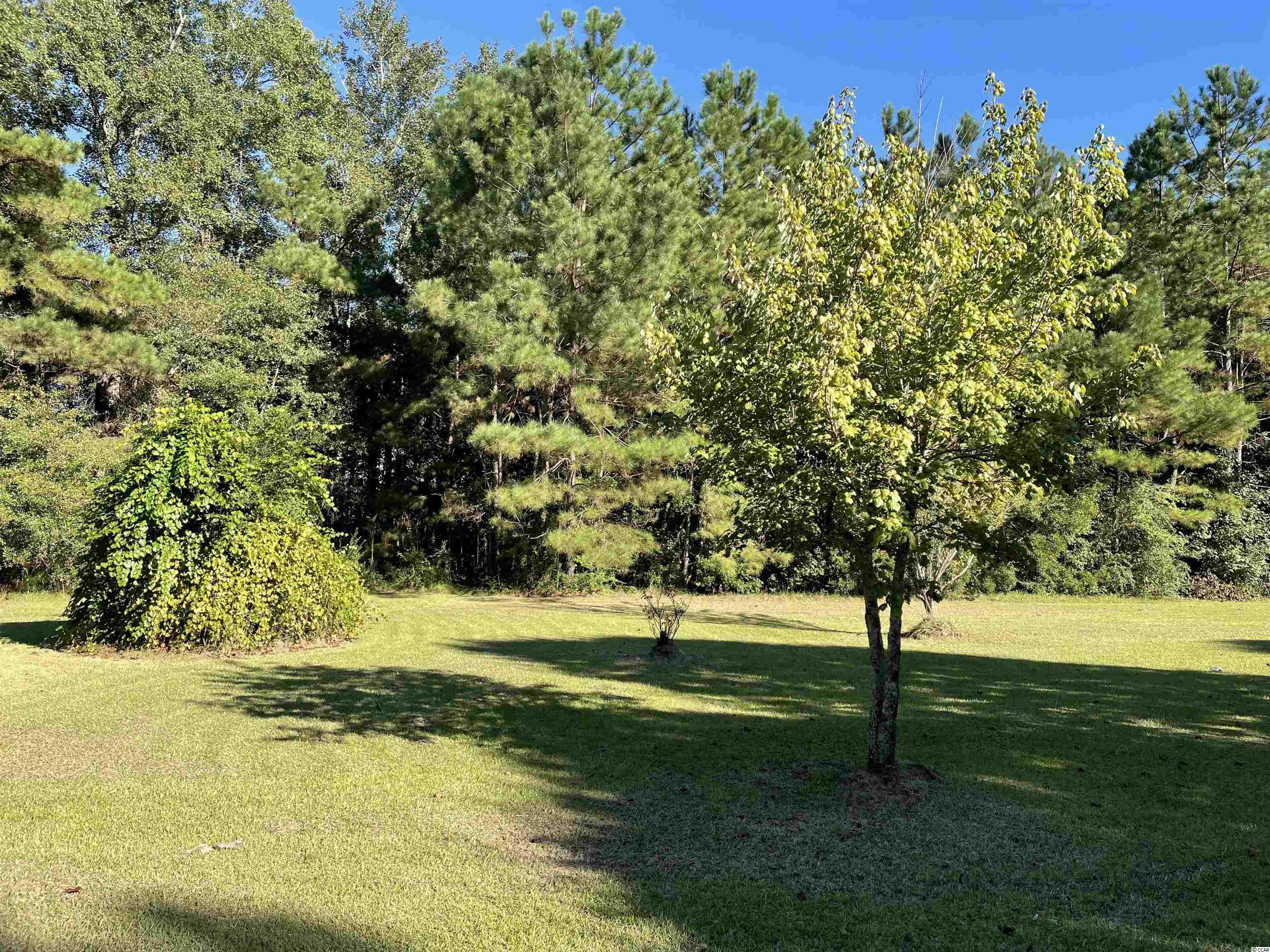 2285 Emery Road Loris, SC 29569 - Photo 8 of 21 Gallery Image 8