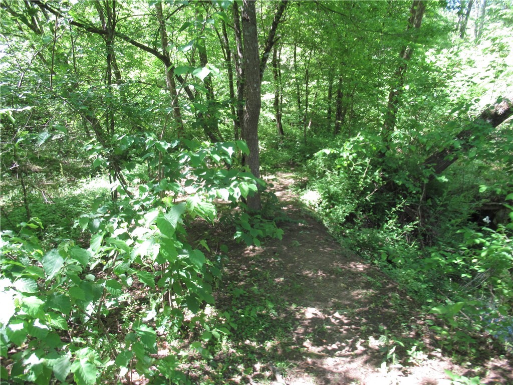 716 Sliding Rock Road Pickens, SC 29671 - Photo 22 of 45