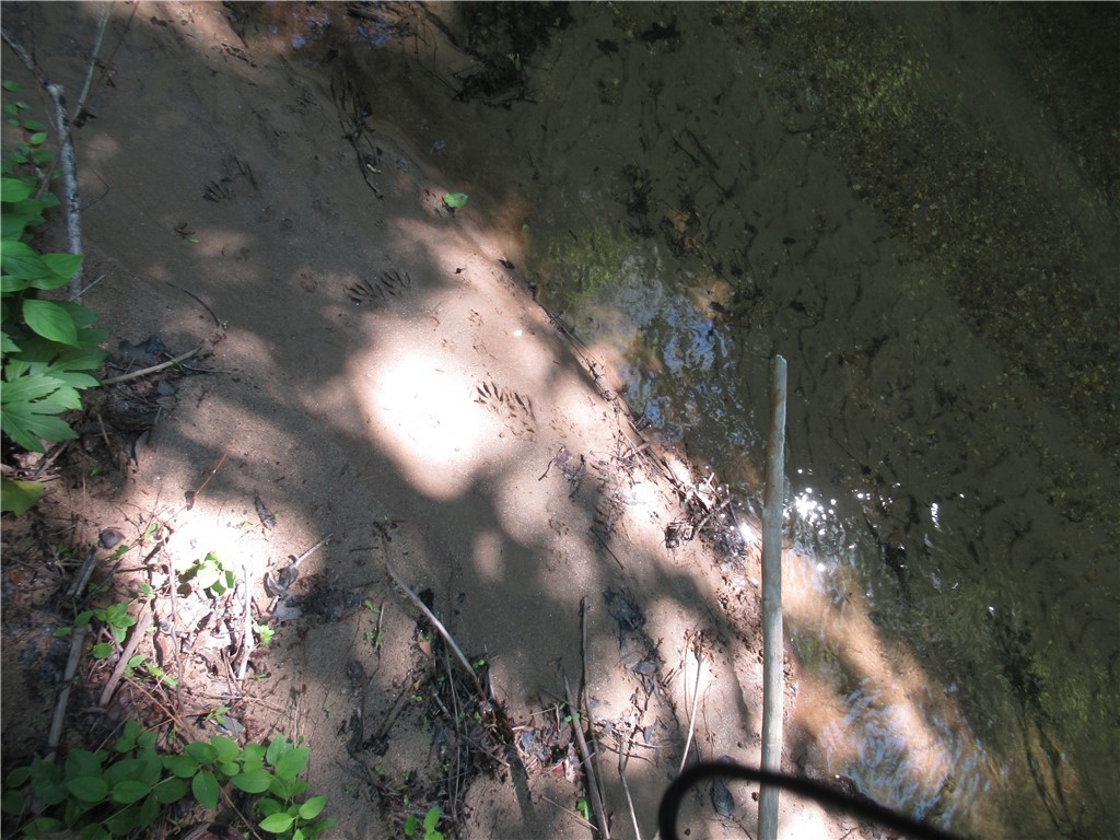 716 Sliding Rock Road Pickens, SC 29671 - Photo 29 of 45