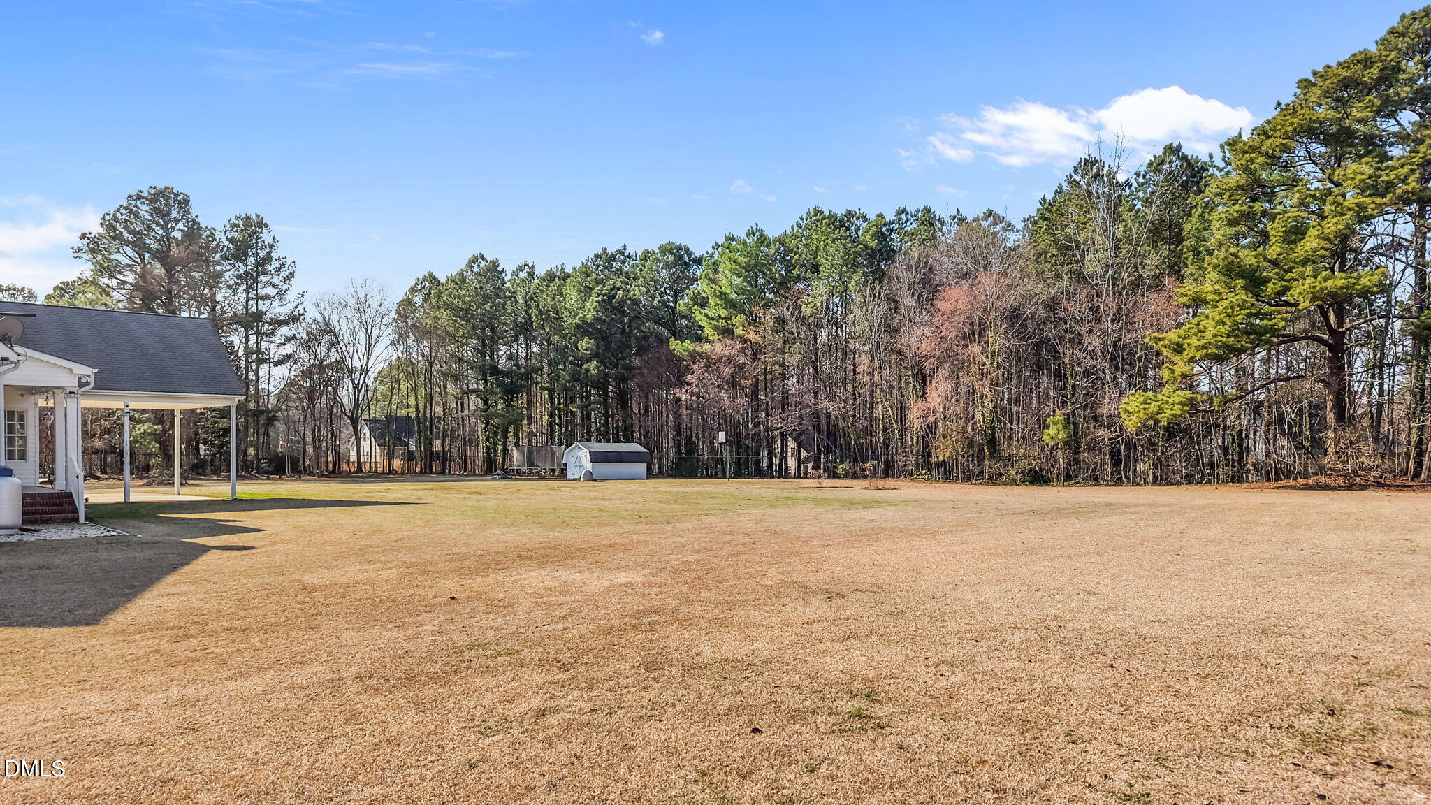 2185 Old US Highway 64 Spring Hope, NC 27882 - Photo 44 of 53 Back yard