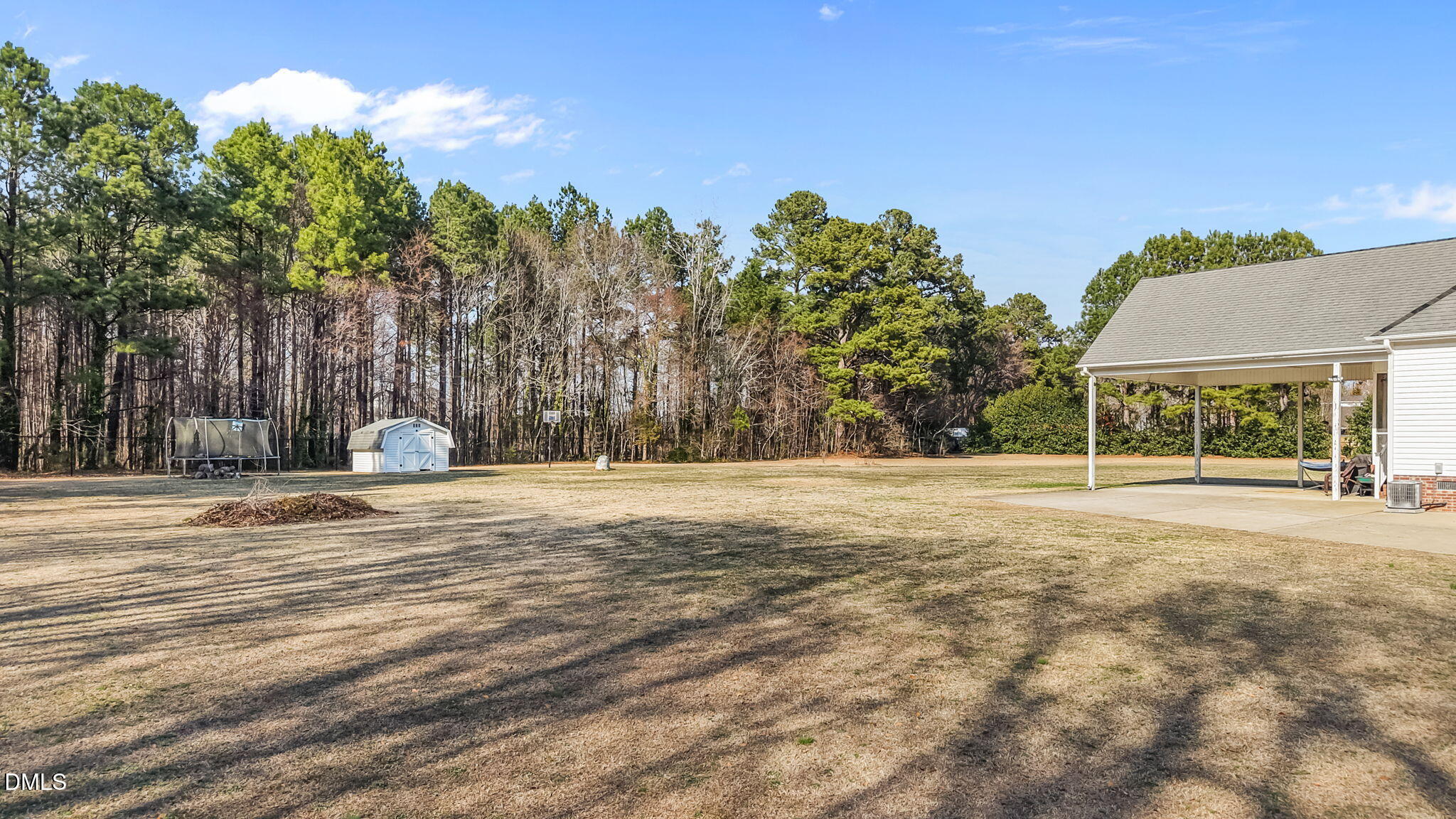 2185 Old US Highway 64 Spring Hope, NC 27882 - Photo 45 of 53 Back yard