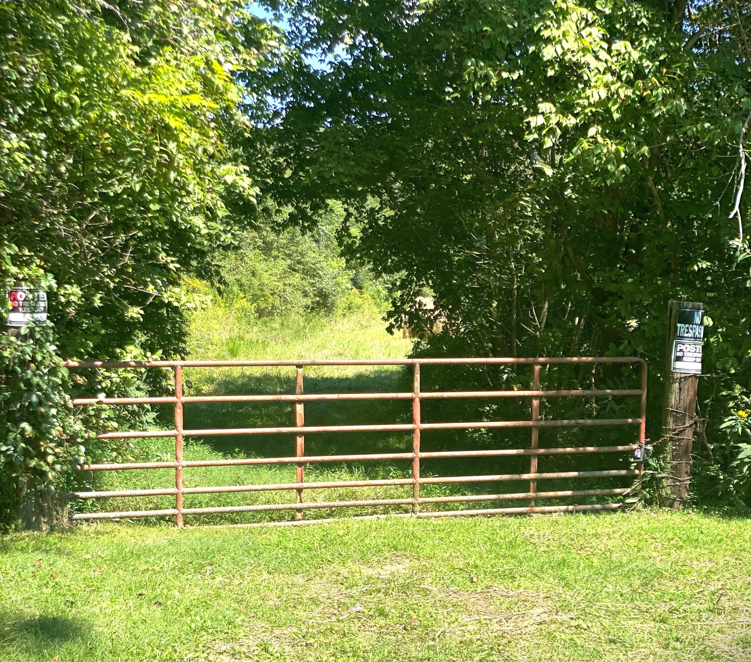 Tbd Old Buffalo Road Johnson City, TN 37601 - Photo 1 of 14 Gate Entrance to 2 acres of cleared land