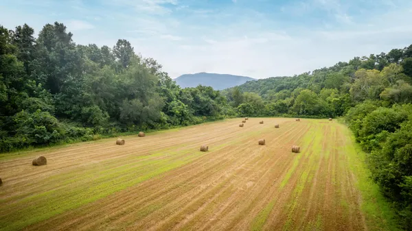 $720,900 | Tbd Old Buffalo Road, Johnson City, TN 37601