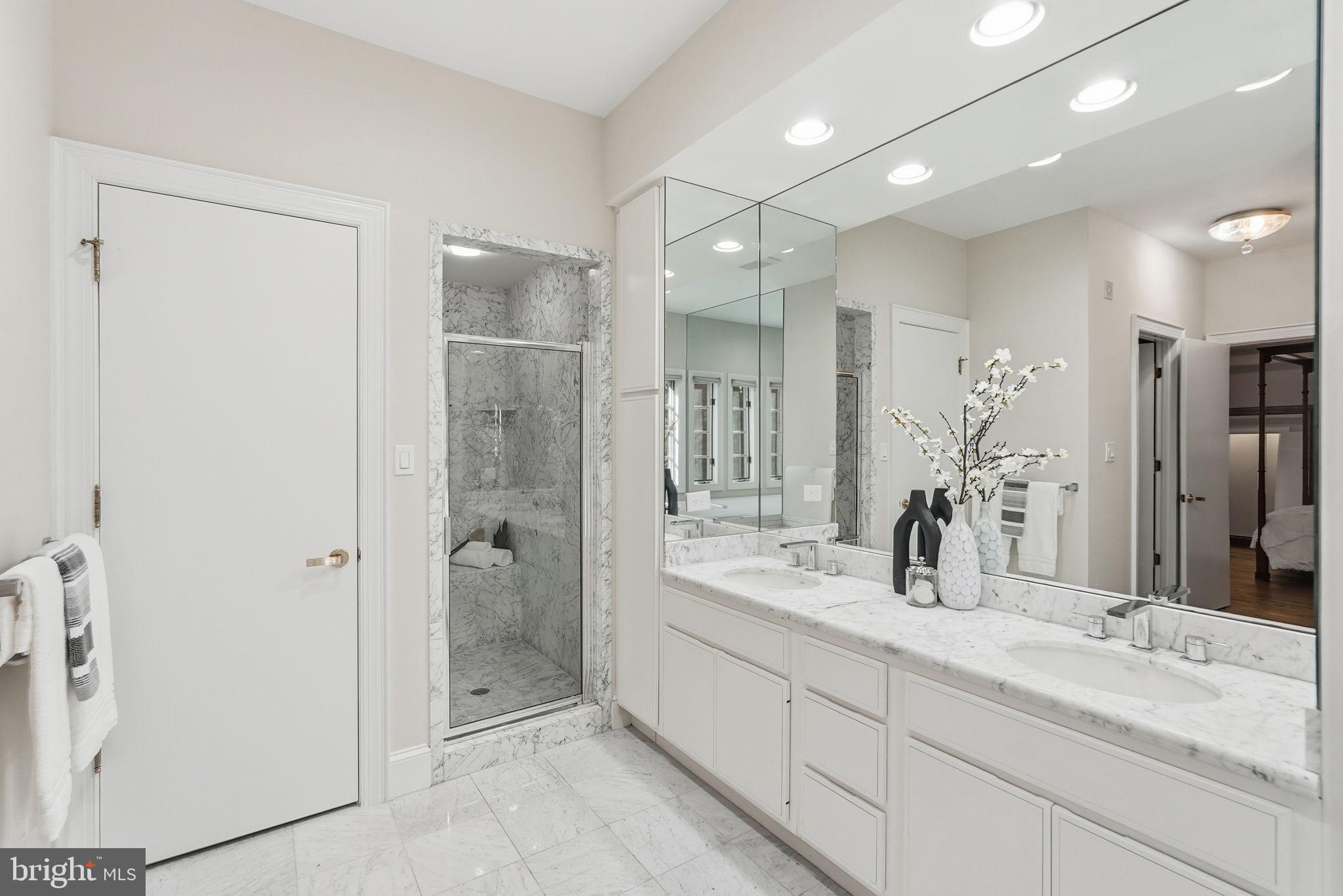 10033 Chartwell Manor Court Potomac, MD 20854 - Photo 11 of 20 Main Level Primary Bath - Reverse