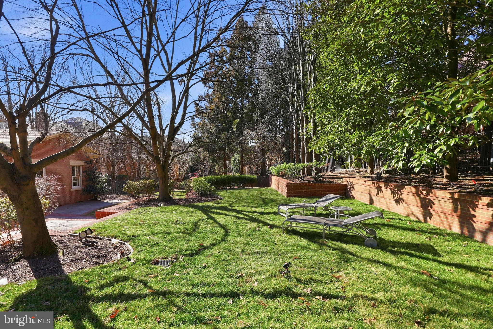 10033 Chartwell Manor Court Potomac, MD 20854 - Photo 4 of 4 a view of a park with large trees