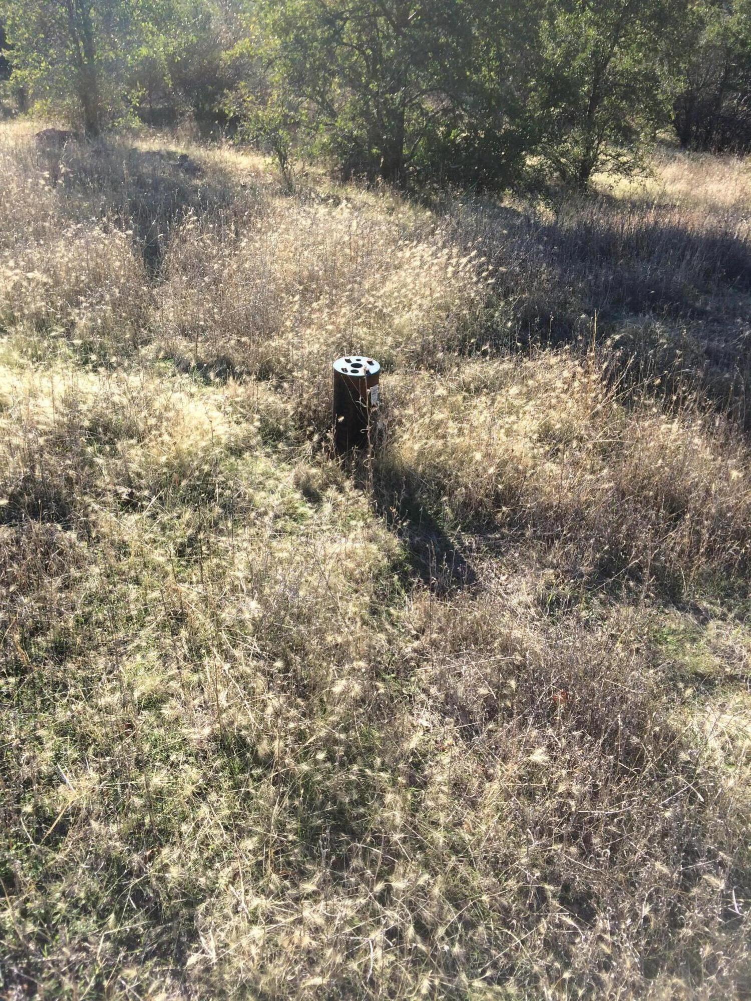 17759 Patterson Ranch Road Round Mountain, CA 96084 - Photo 12 of 24 a view of a dry yard with trees