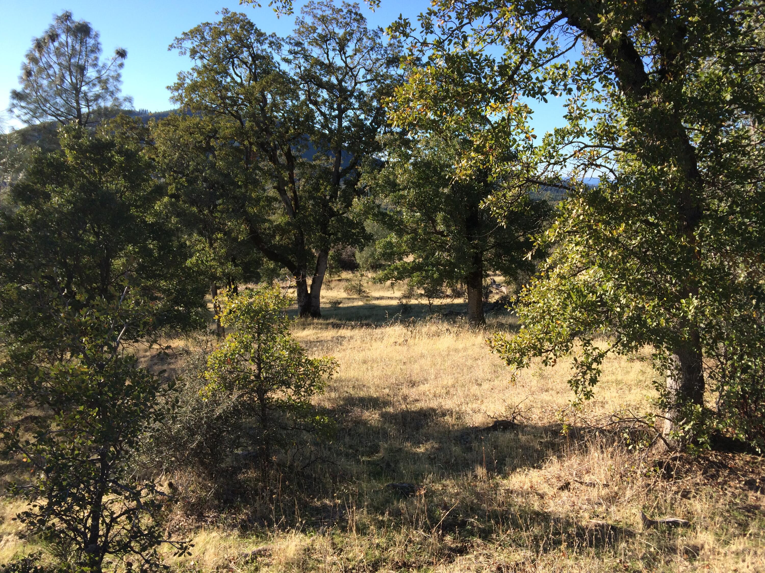 17759 Patterson Ranch Road Round Mountain, CA 96084 - Photo 14 of 24 a view of lake with tree