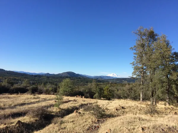 a view of mountain and with trees