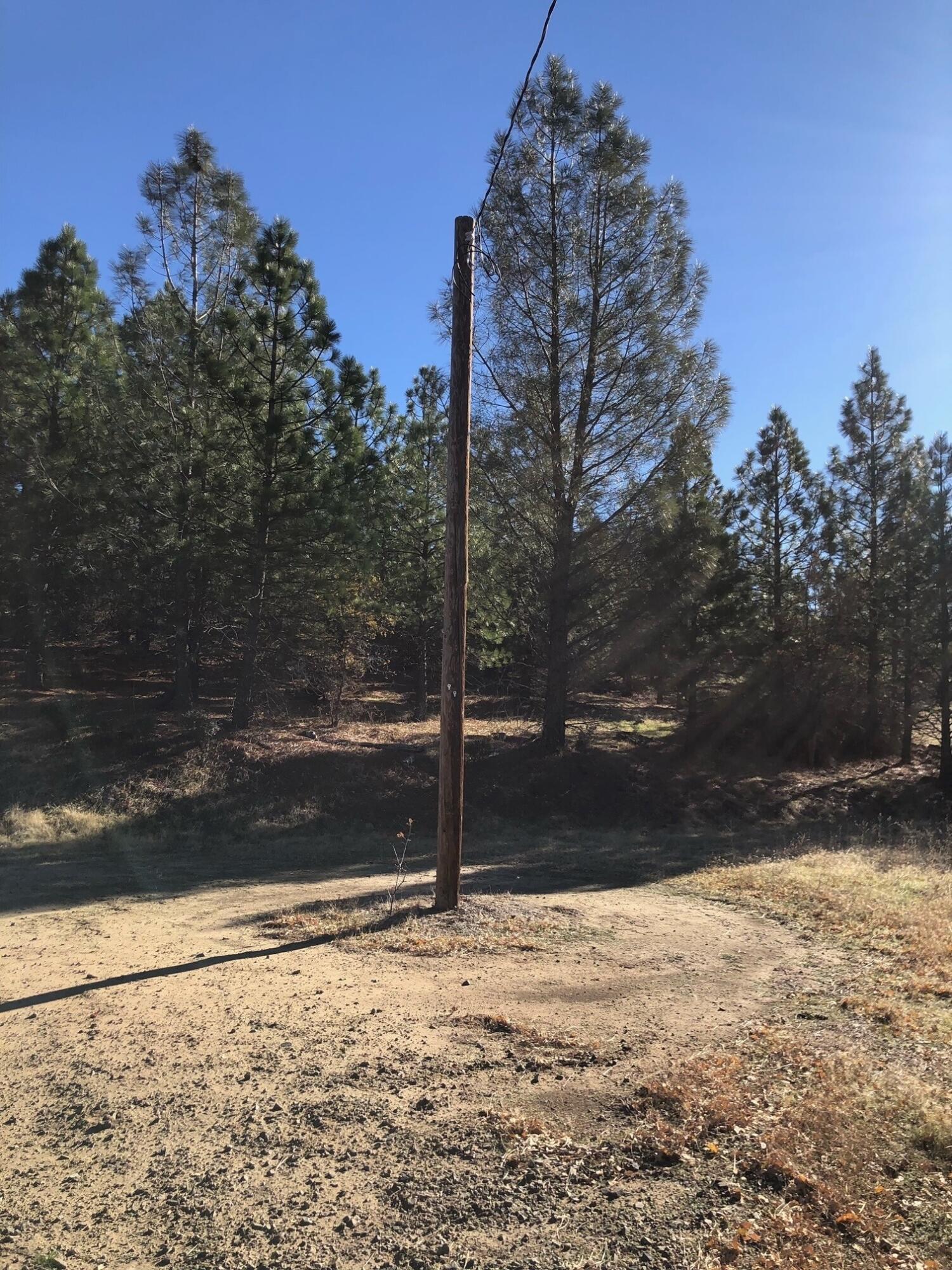 17759 Patterson Ranch Road Round Mountain, CA 96084 - Photo 20 of 24 a backyard of a house
