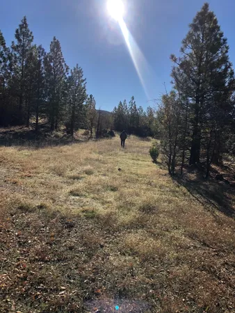 a view of a yard covered with snow in front of house