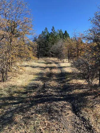 $115,000 | 17759 Patterson Ranch Road, Round Mountain, CA 96084