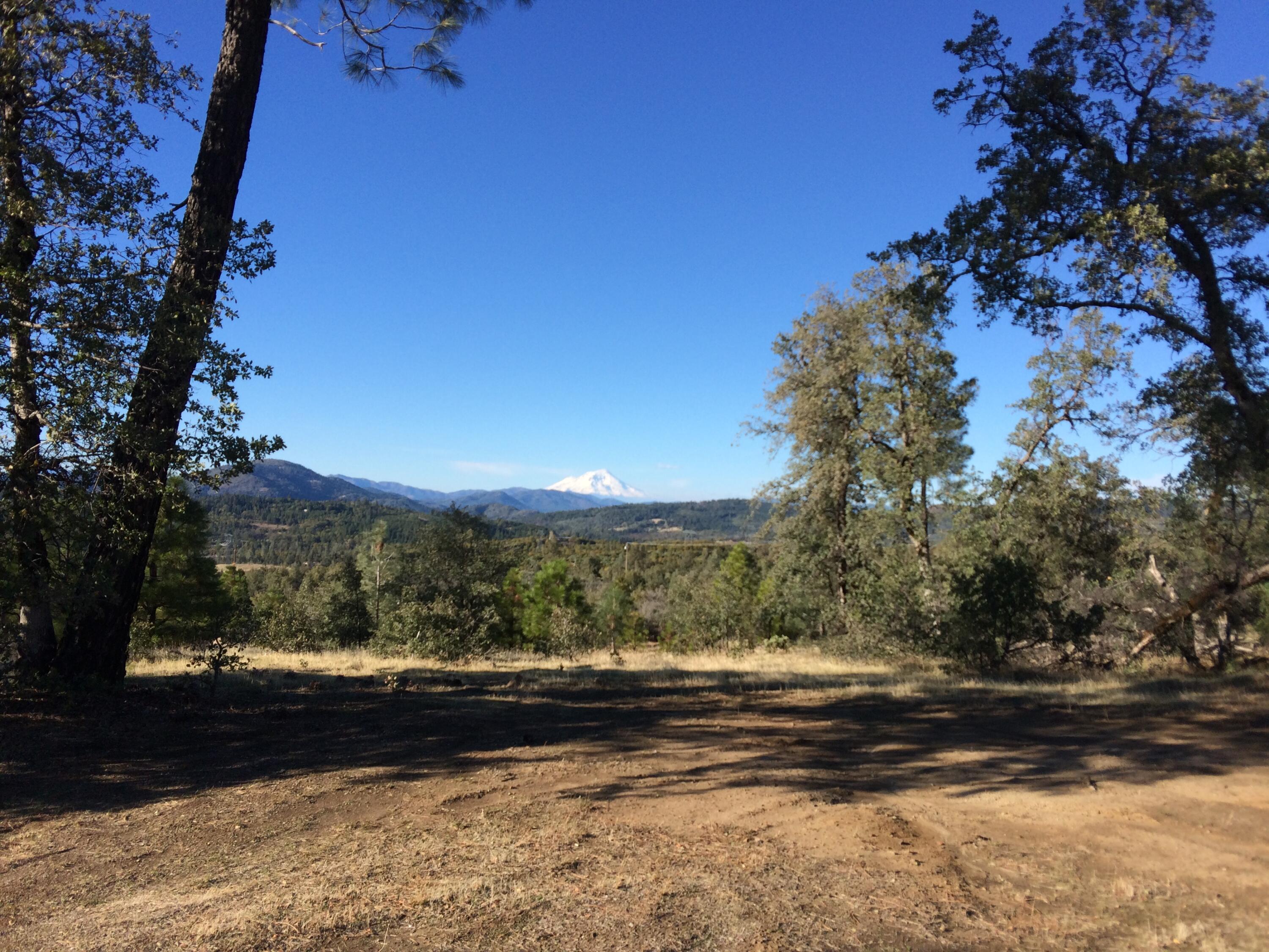 17759 Patterson Ranch Road Round Mountain, CA 96084 - Photo 6 of 24 a view of a yard