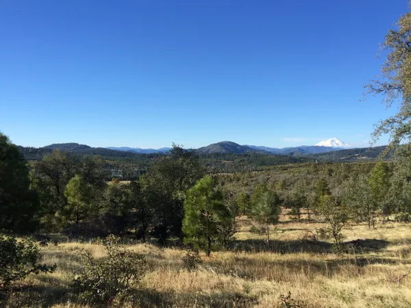 a view of a mountain with a tree in the background