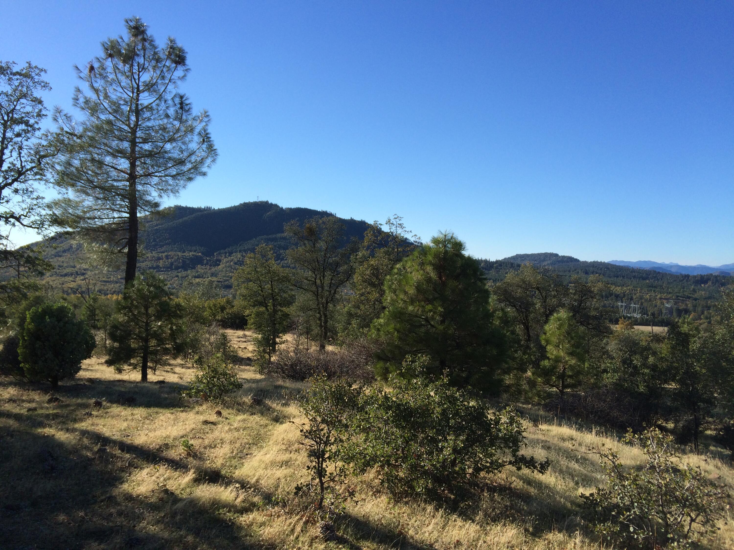 17759 Patterson Ranch Road Round Mountain, CA 96084 - Photo 8 of 24 a view of a mountain with a tree in the background