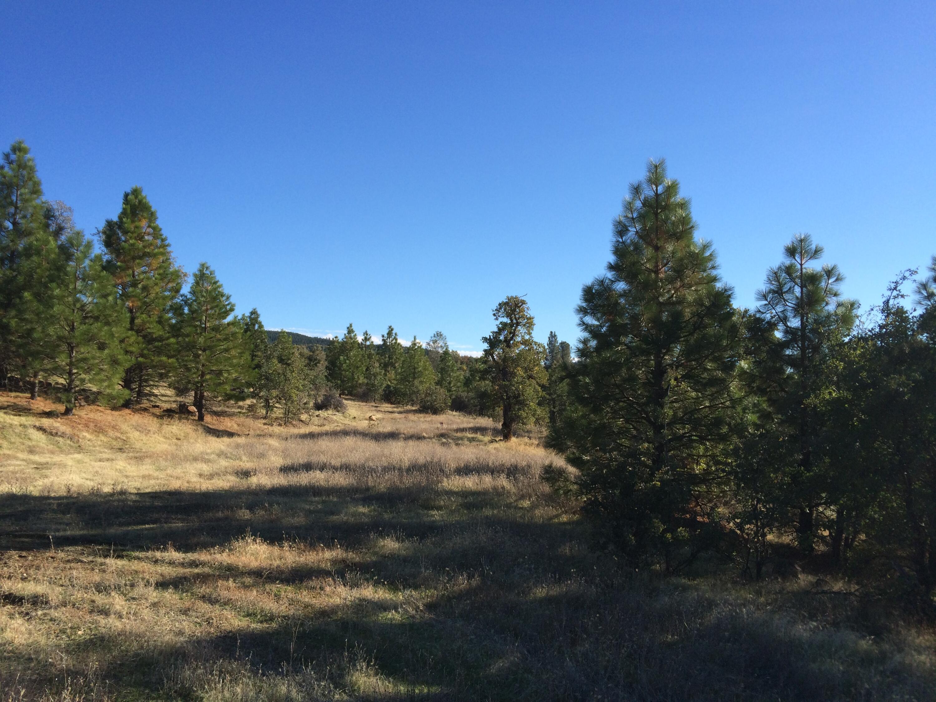 17759 Patterson Ranch Road Round Mountain, CA 96084 - Photo 9 of 24 a view of ocean view with beach