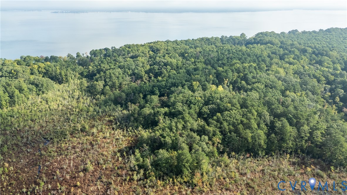 0 Montague Island Road Jamaica, VA 23079 - Photo 11 of 23 a view of a forest with a street