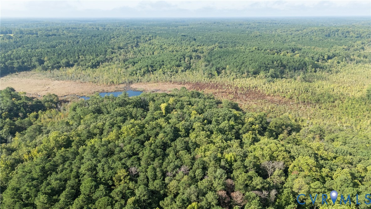0 Montague Island Road Jamaica, VA 23079 - Photo 16 of 23 a view of a field with plants and large trees