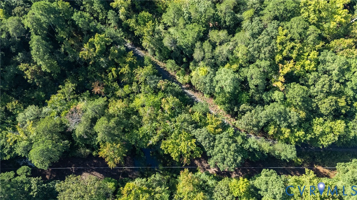 0 Montague Island Road Jamaica, VA 23079 - Photo 2 of 23 a view of a garden