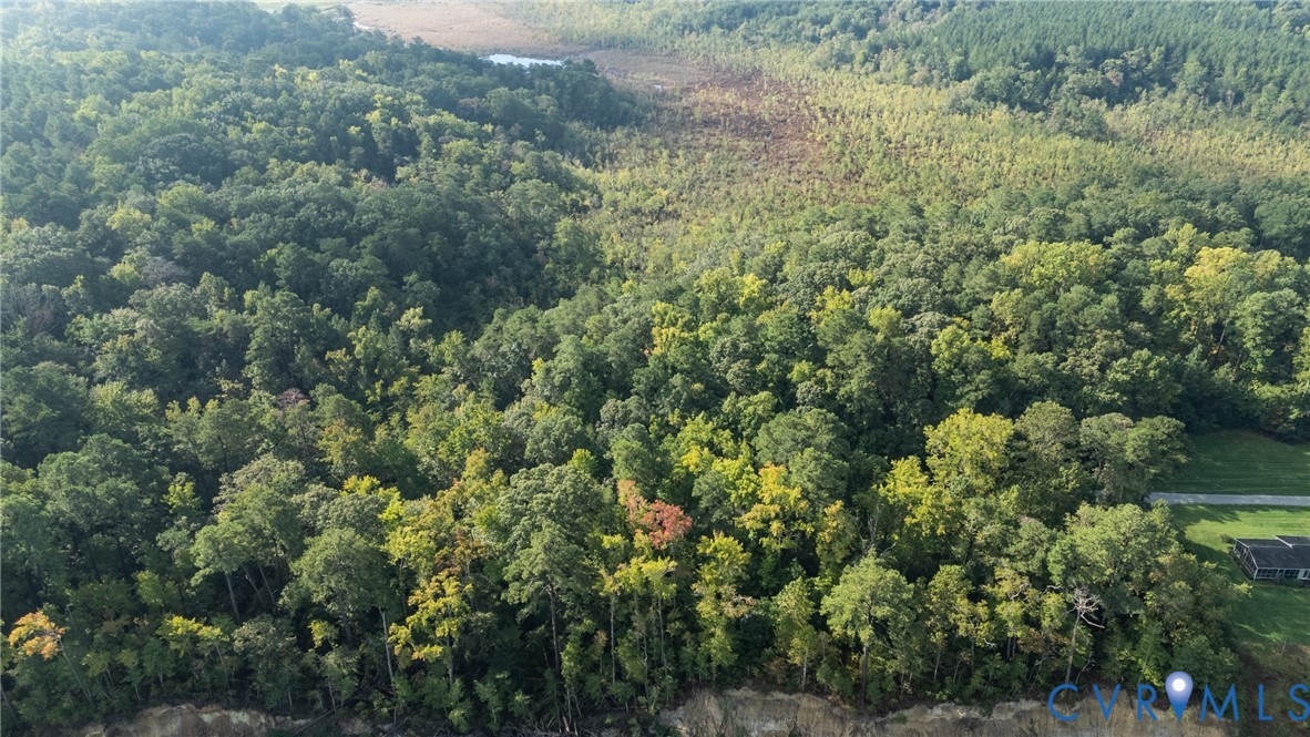 0 Montague Island Road Jamaica, VA 23079 - Photo 7 of 23 an aerial view of residential house with outdoor space and trees all around