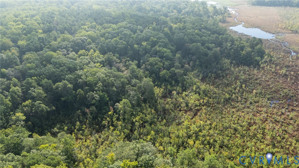 0 Montague Island Road Jamaica, VA 23079 - Photo 9 of 23 a view of a forest with trees all around
