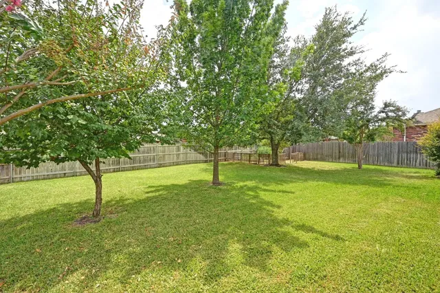 a view of a park with a tree