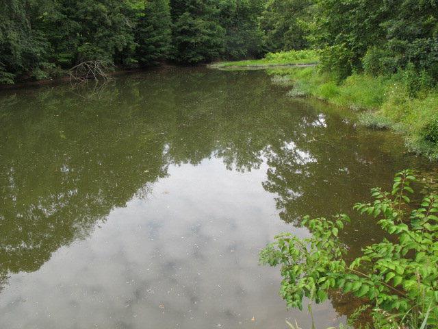 0 Forest Road Hustontown, PA 17229 - Photo 25 of 25 Gallery Image 25