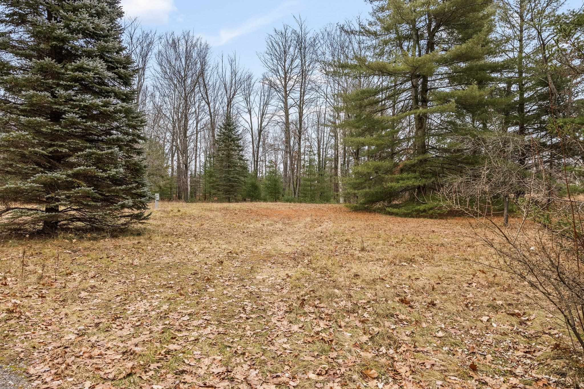 4615 East Sugar River Road Alger, MI 48610 - Photo 9 of 69