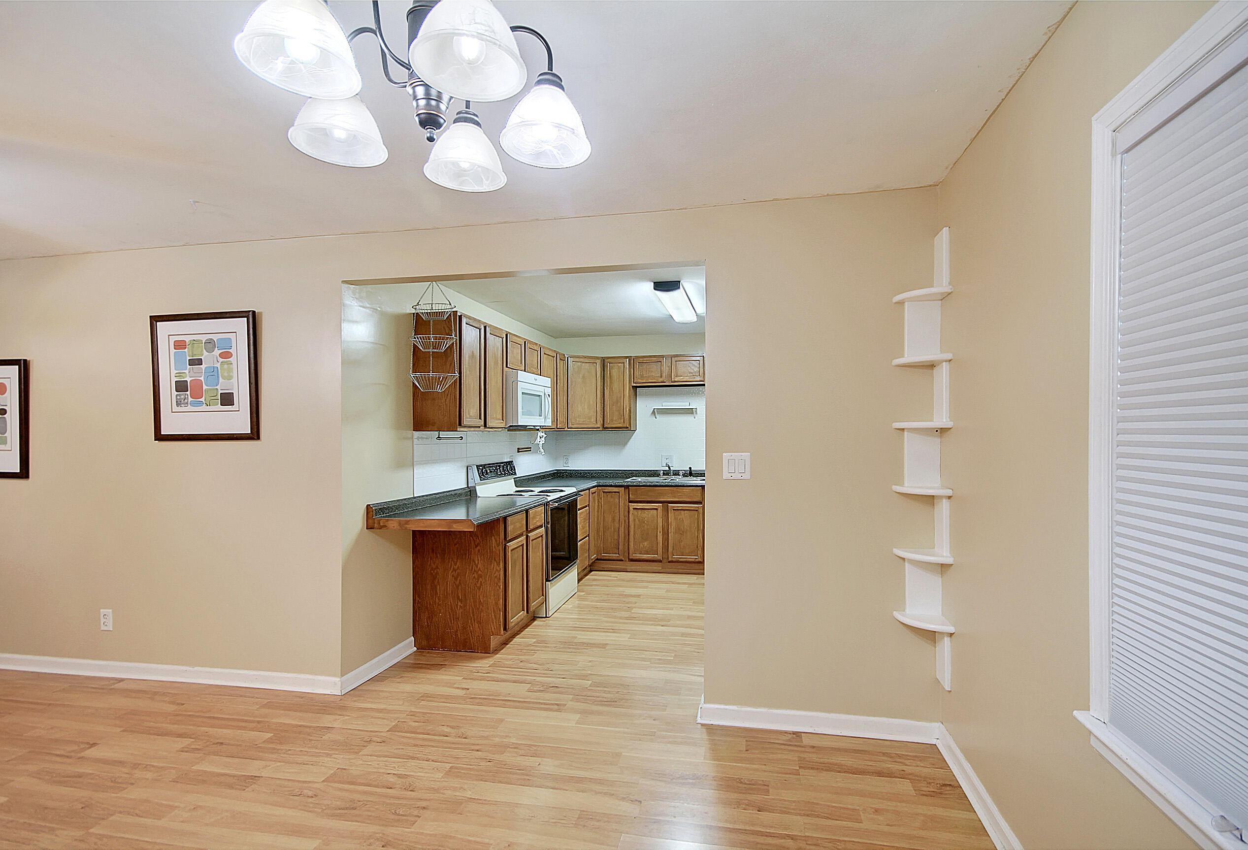 135 Pandora Drive Goose Creek, SC 29445 - Photo 7 of 28 CREM_135 Pandora_020