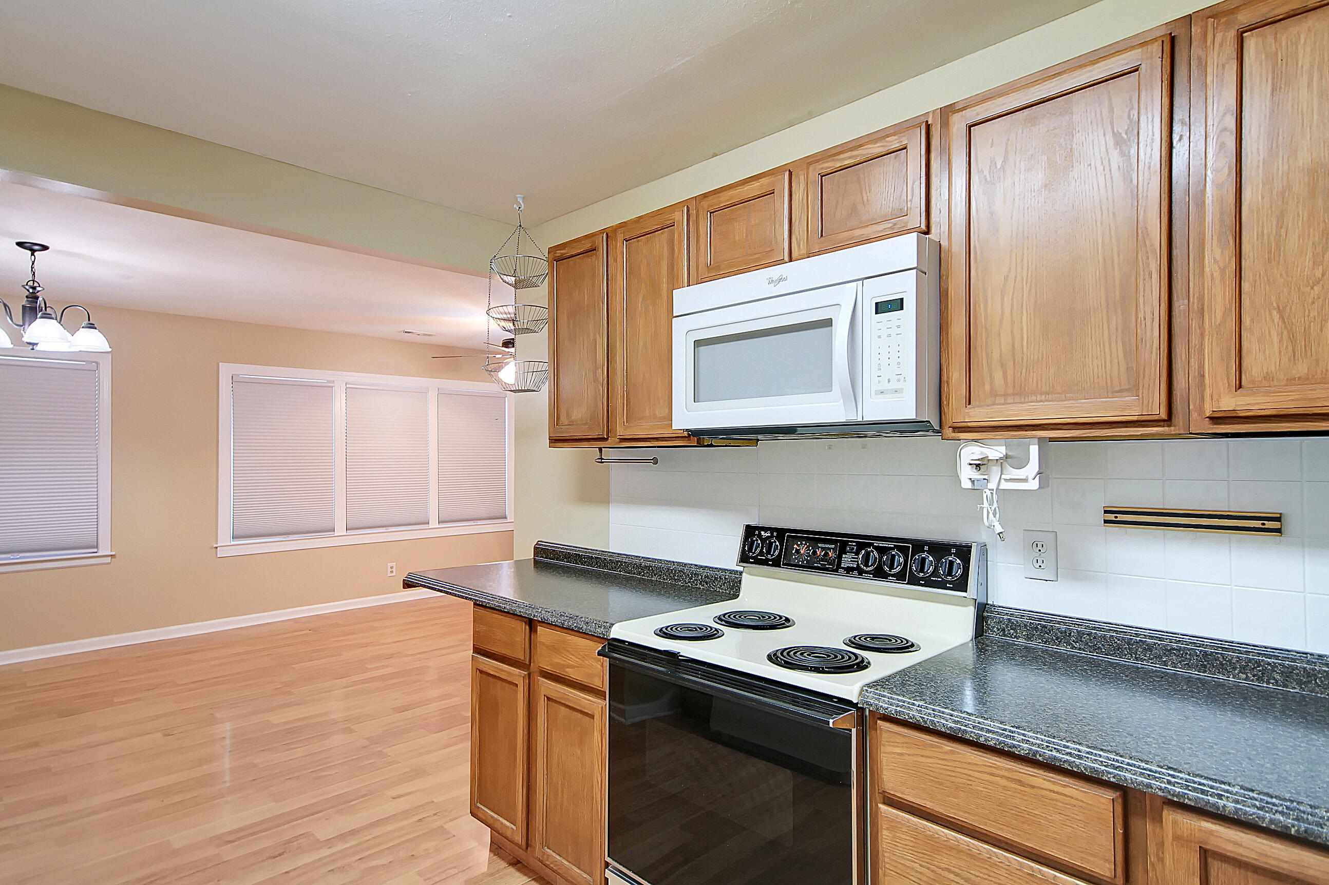 135 Pandora Drive Goose Creek, SC 29445 - Photo 9 of 28 CREM_135 Pandora_022