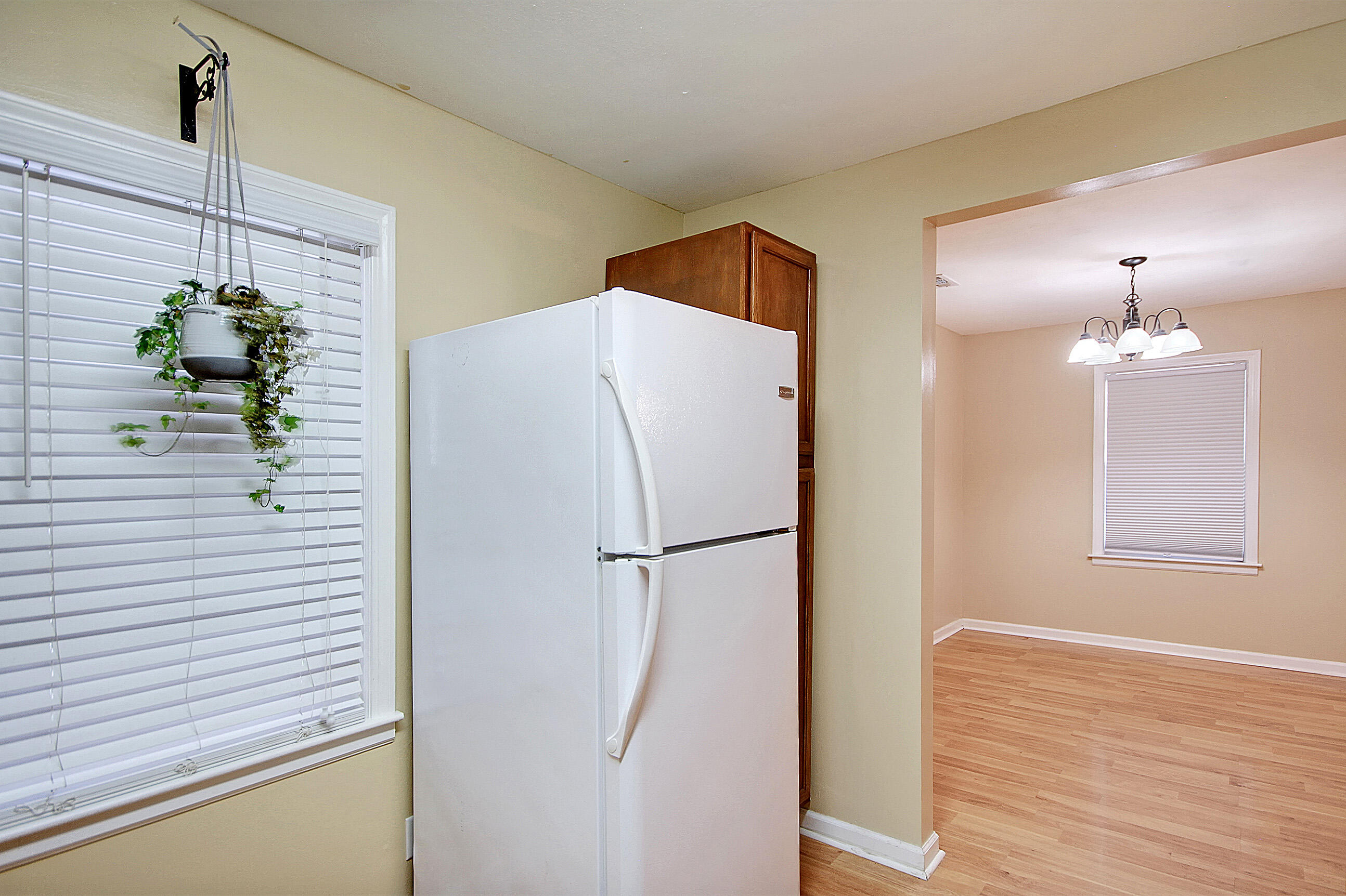 135 Pandora Drive Goose Creek, SC 29445 - Photo 10 of 28 CREM_135 Pandora_023