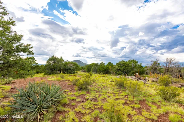 $895,000 | 2667 East Overlook Drive, Williams, AZ 86046