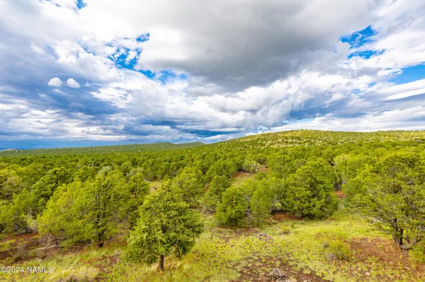 $895,000 | 2667 East Overlook Drive, Williams, AZ 86046
