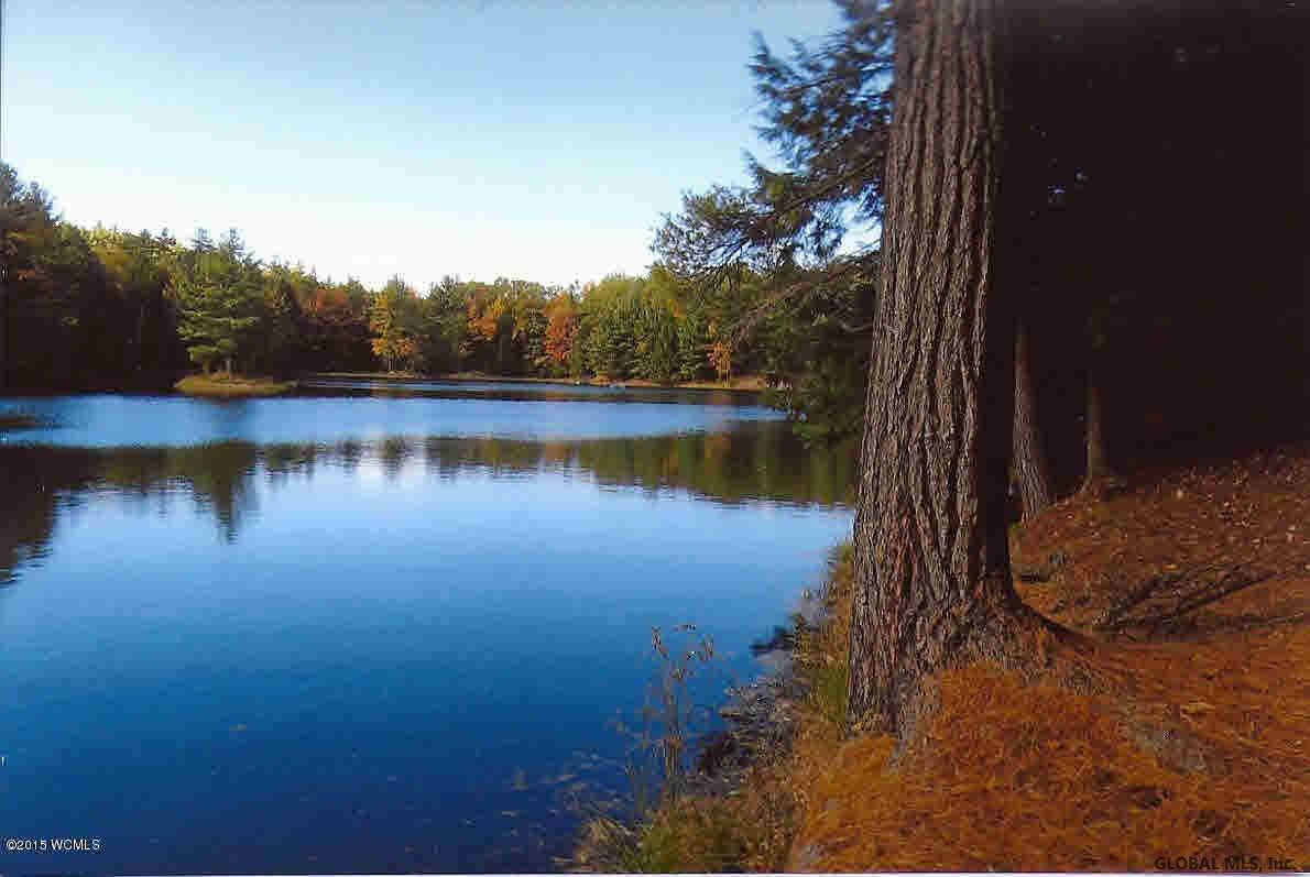 0 South Road Hampton, NY 12837 - Photo 1 of 17 Photo 1
