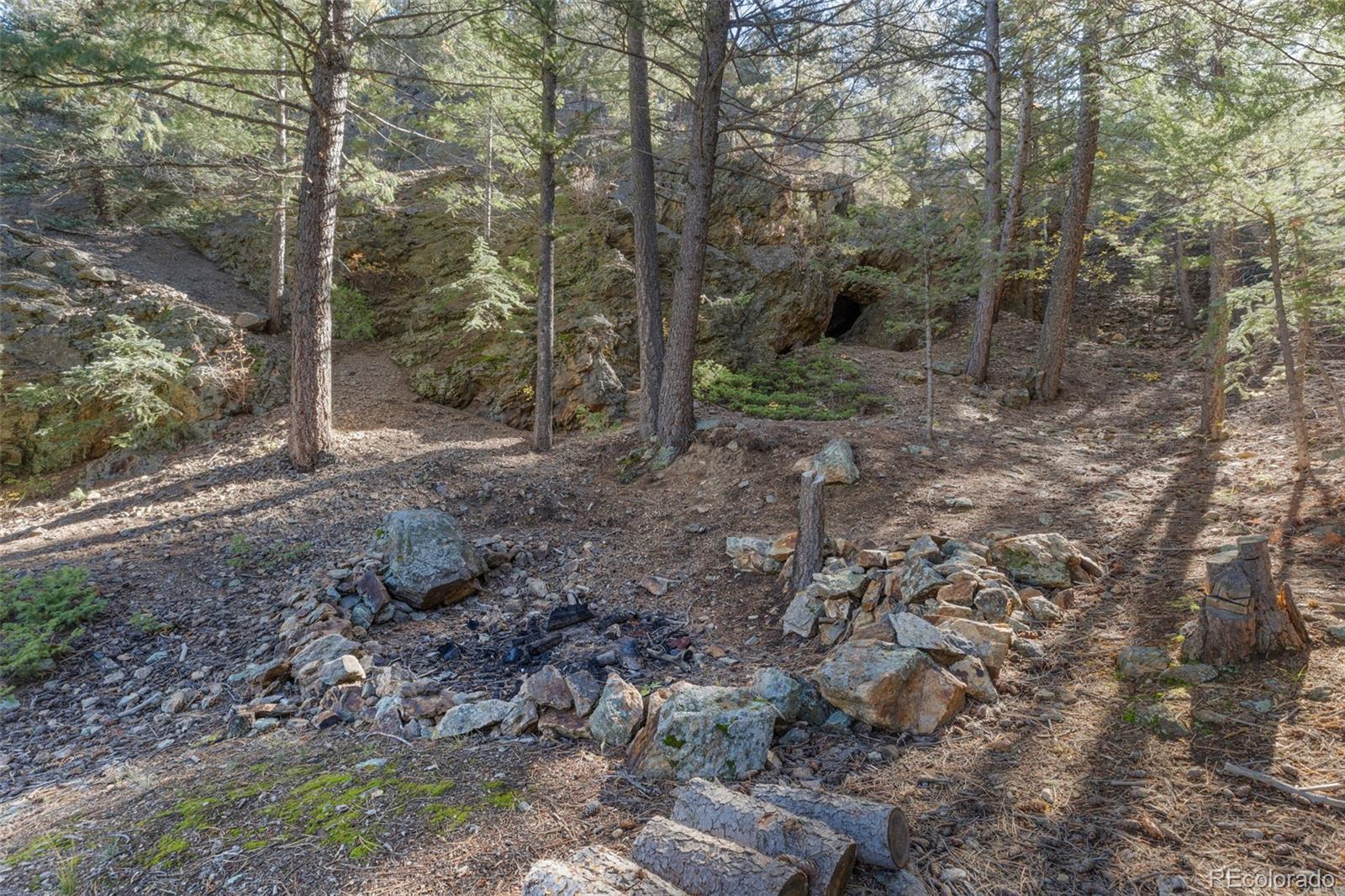 76 Wheel Haven Road Idaho Springs, CO 80452 - Photo 44 of 50 a view of a forest with trees in the background