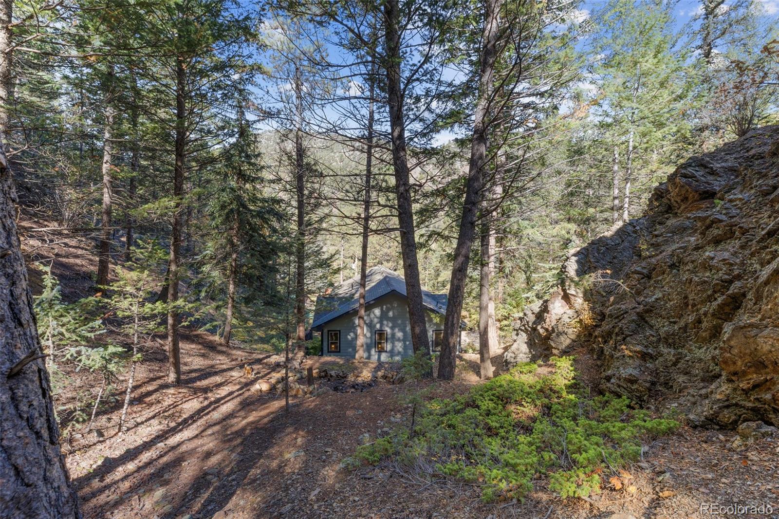 76 Wheel Haven Road Idaho Springs, CO 80452 - Photo 45 of 50 a backyard of a house with lots of green space