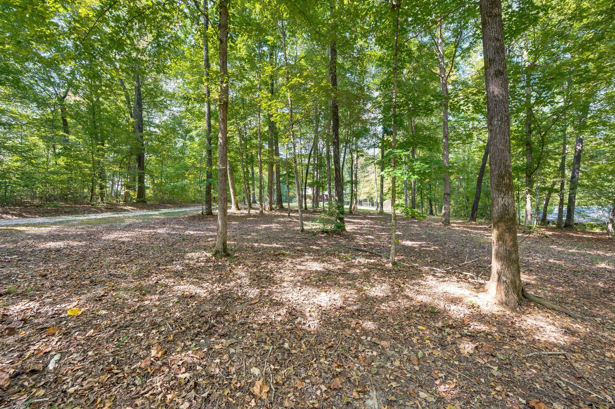 1168 Johnny Hall Road Burns, TN 37029 - Photo 2 of 75