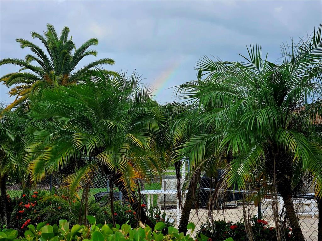 25275 Rampart Boulevard, Unit 1802 Punta Gorda, FL 33983 - Photo 41 of 41 a view of a palm plant