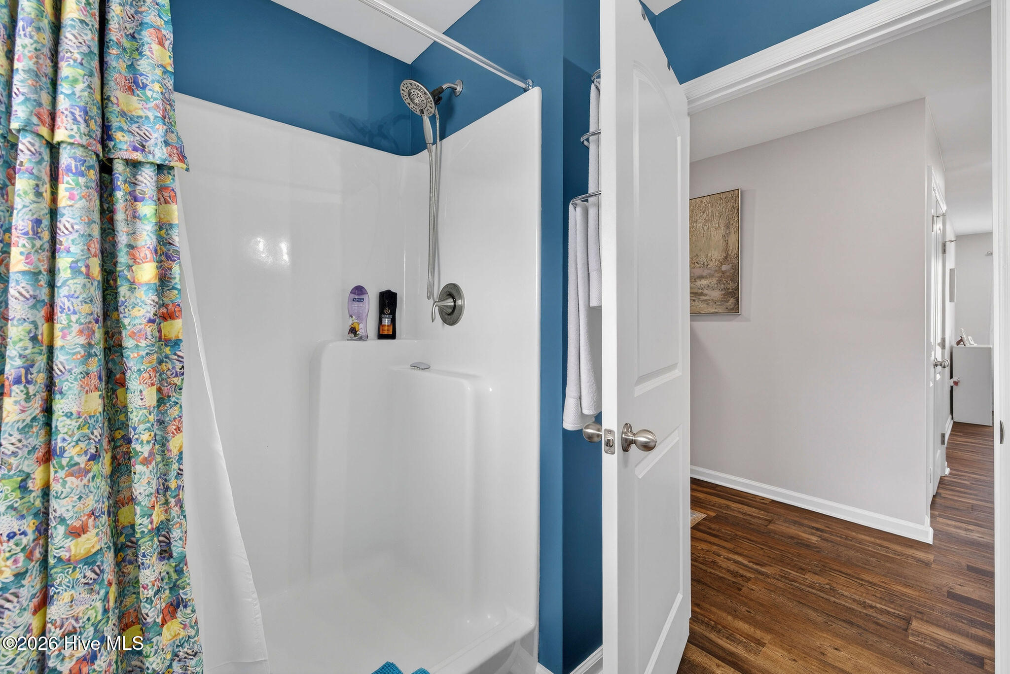 161 Big Hammock Point Road Sneads Ferry, NC 28460 - Photo 37 of 61 Second bath