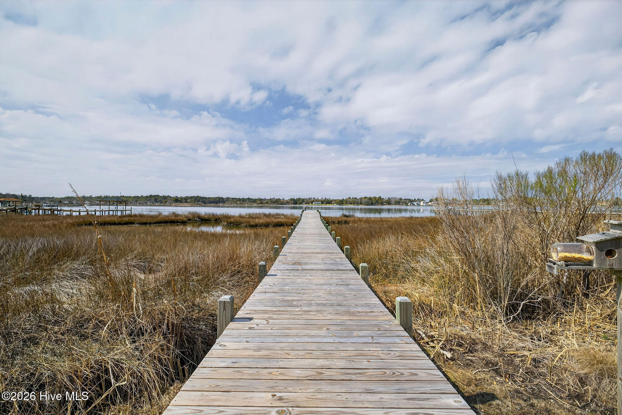 161 Big Hammock Point Road Sneads Ferry, NC 28460 - Photo 44 of 61 Pier