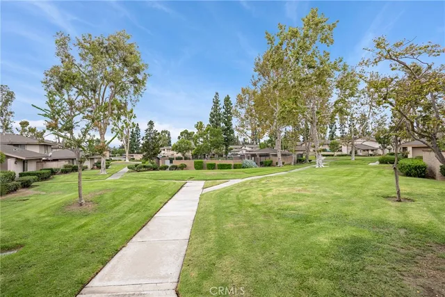 a view of a park with large trees