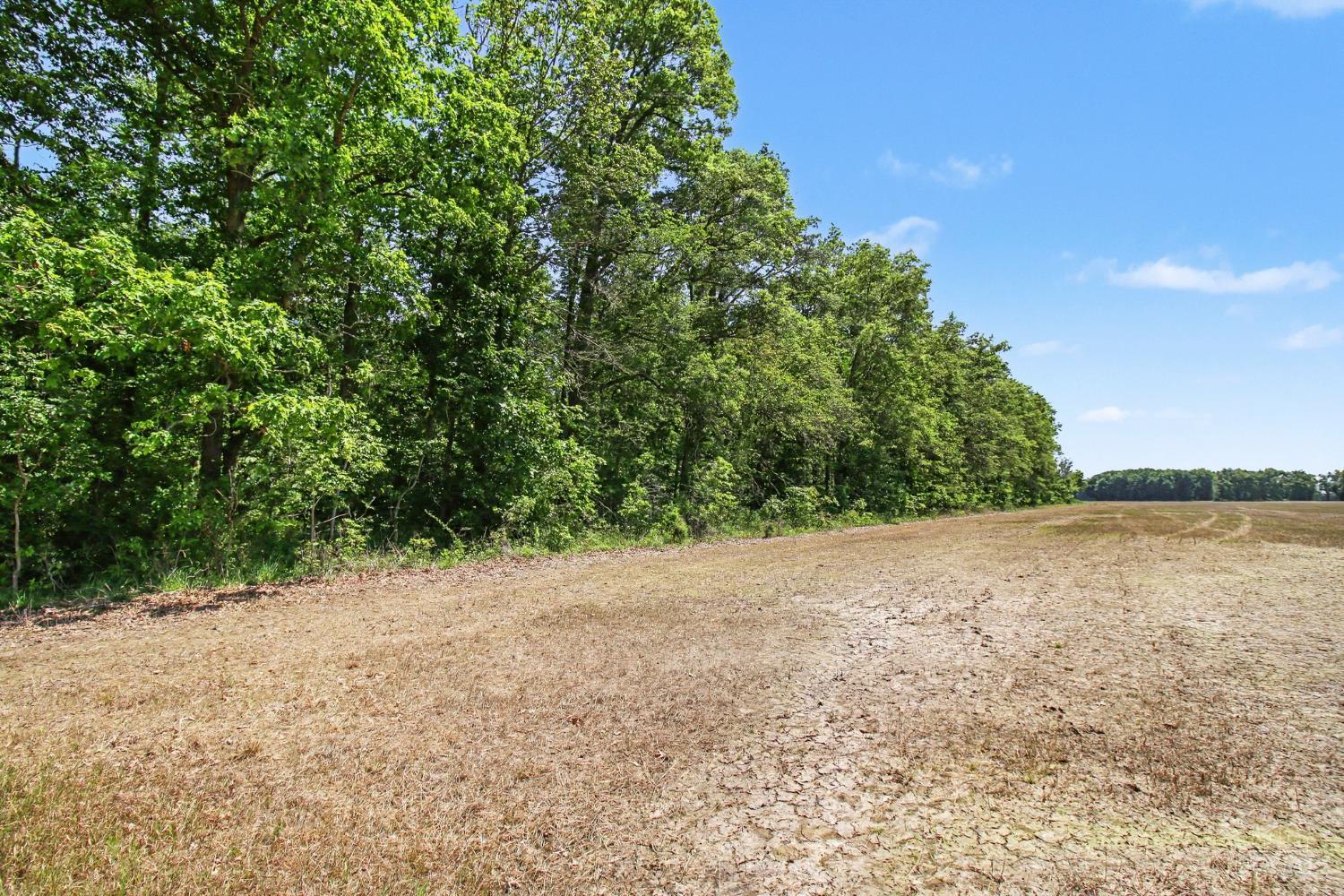 Ac Ac Martin Alexander Road Sardinia, OH 45171 - Photo 9 of 20