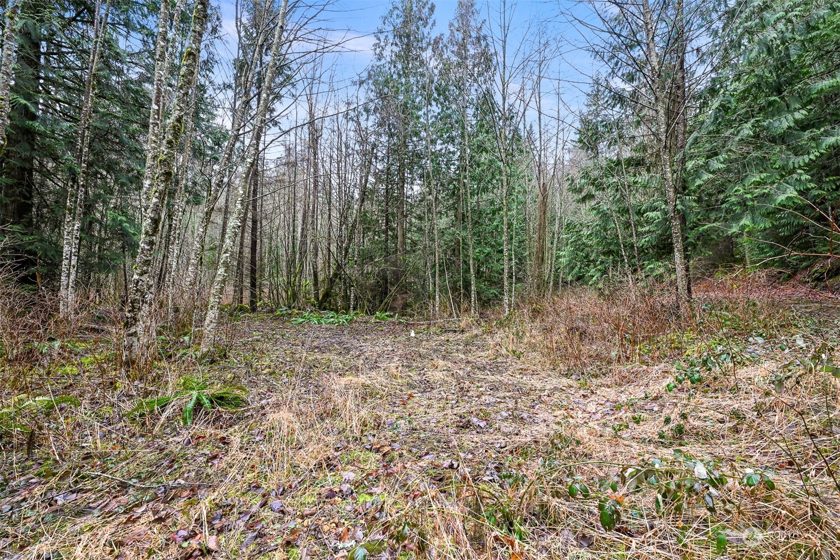 0 South Pass Road Everson, WA 98247 - Photo 5 of 10 a view of outdoor space and green space